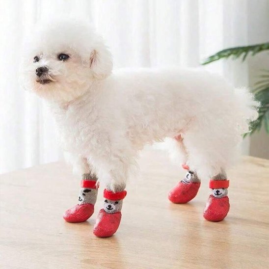 Chaussures-pour-chien-antiderapend-evite-tous-risques-blessures
