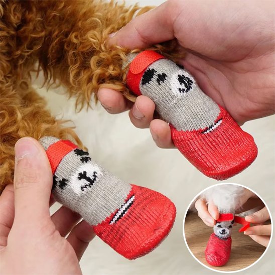 Chaussures-pour-chien-protection-maximum