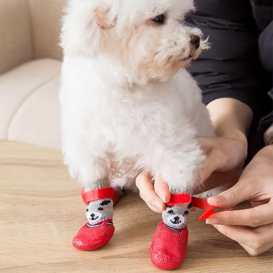 Chaussures-pour-chien-ultra-confortable