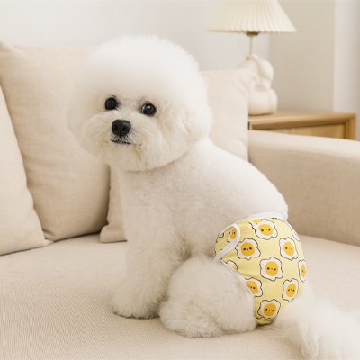 Culotte-pour-chien-facile-mettre