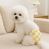 Culotte-pour-chien-facile-mettre