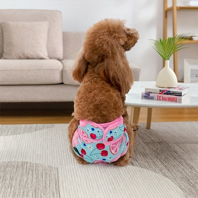 Culotte-pour-chien-pour-tous-chiens