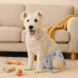 Culotte-pour-chien-reste-libre