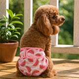 Culotte-pour-chien-tres-confortable