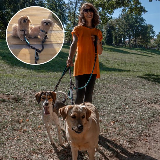 Double-laisse-pour-chien-adapter-tous-terrains