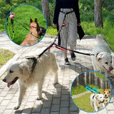 Double-laisse-pour-chien-pratique