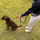 Laisse-canicross-libre-mouvement