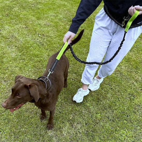 Laisse-canicross-souple-resistant