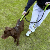 Laisse-canicross-souple-resistant