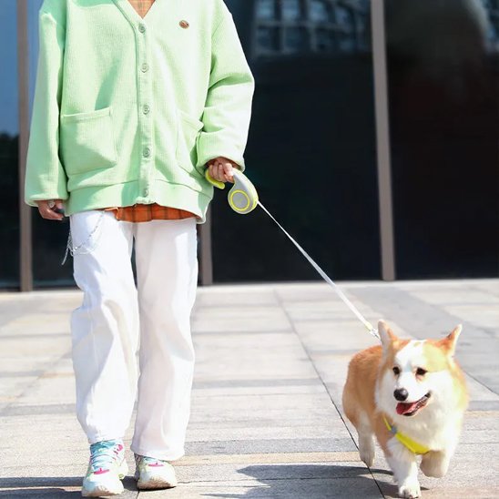 Laisse-enrouleur-securiter-maximum