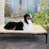 Lit-pour-chien-sureleve-resistant