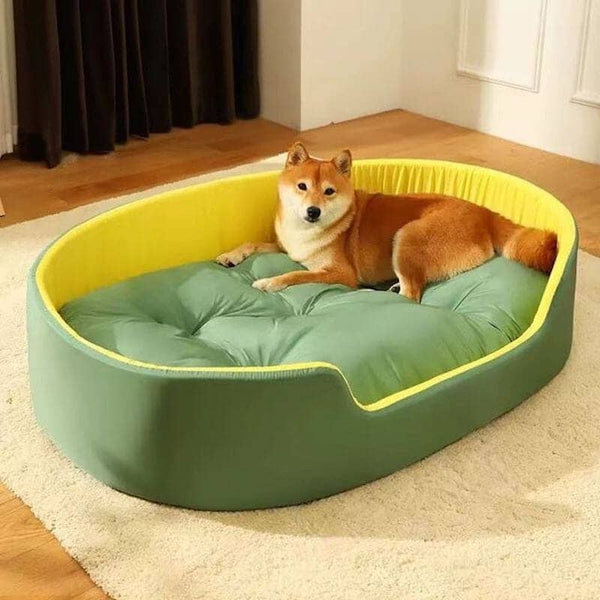 Lit-pour-chien-vert