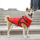 Manteau-Chien-rouge-confortable
