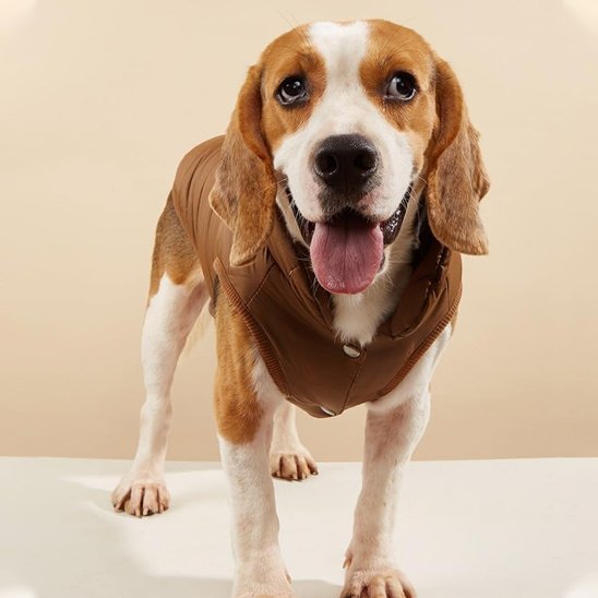 Manteau-pour-chien-confort-tissus-respirant