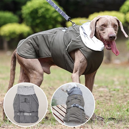 Manteau-pour-chien-confortable