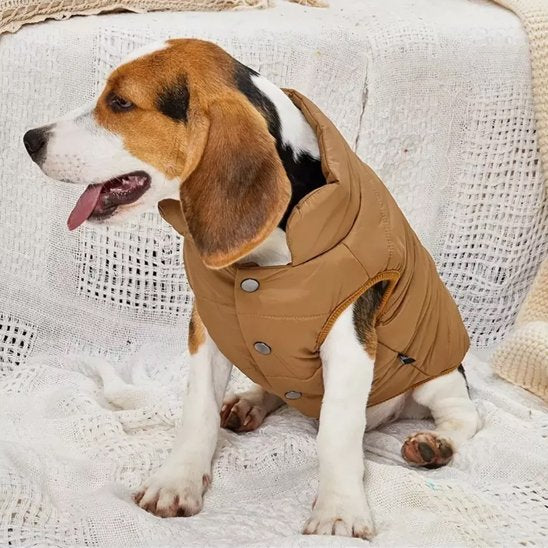 Manteau-pour-chien-design-original
