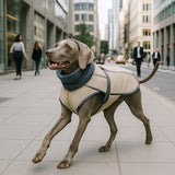 Manteau-pour-chien-doux-chaud