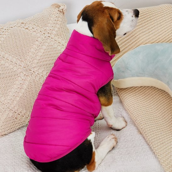 Manteau-pour-chien-protege-totalement-animal