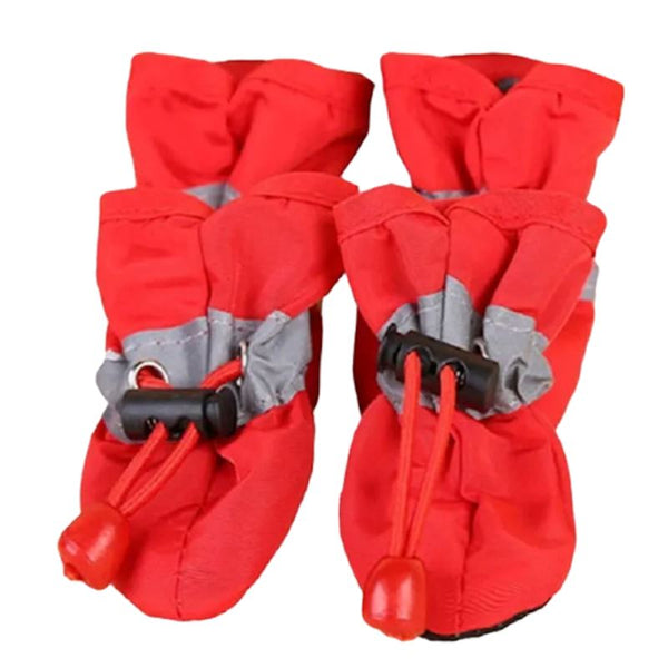 Chaussure pour chien | ChaussToutou™