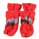 Chaussure pour chien | ChaussToutou™