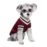 Pull-pour-chien-bordeaux
