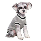 Pull-pour-chien-gris