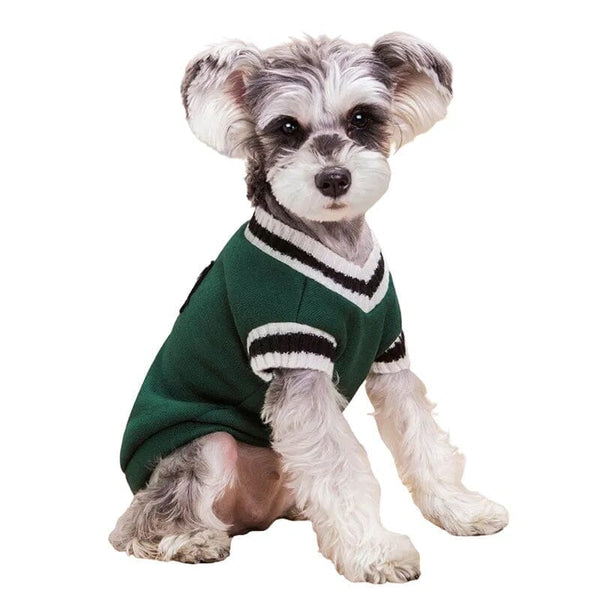Pull-pour-chien-vert