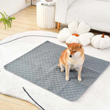 Tapis-absorbant-chien-absorbant