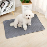 Tapis-absorbant-chien-propreter-garantie