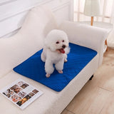 Tapis-absorbant-chien-sans-stresse-chien-confortable