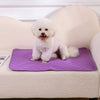 Tapis-absorbant-chien-ulltra-confortable