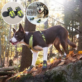 chaussure-chien-maintien-pattes-stable