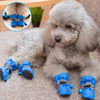 chaussure-pour-chien-presentation-bleu-claire