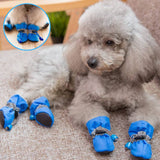 chaussure-pour-chien-presentation-bleu-claire