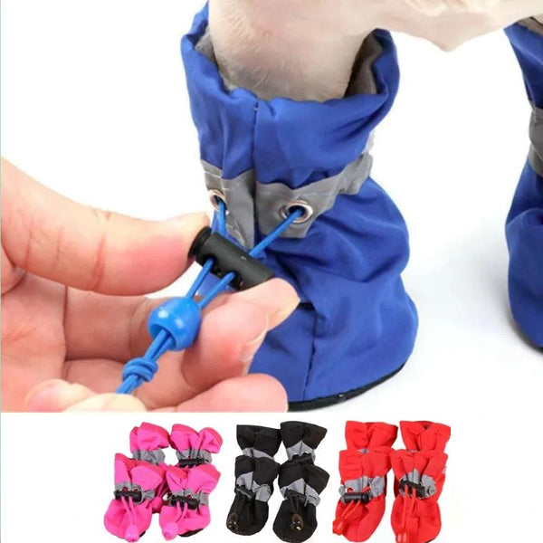 chaussure-pour-chien-verouillage