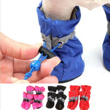 chaussure-pour-chien-verouillage