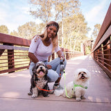 laisse-double-pour-chien-presentation