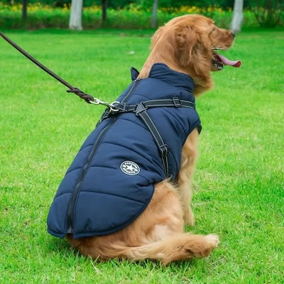 manteau-chien-securiter-renforcer