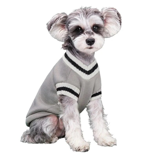 manteau-pour-chien-gris
