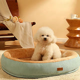 meilleur-lit-orthopedique-bichon