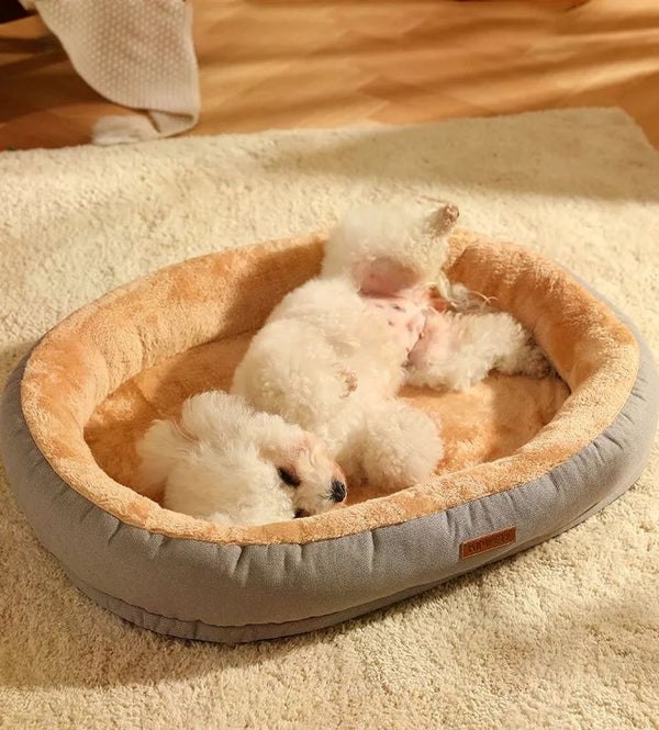 meilleur-lit-orthopedique-confort-bichon