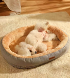 meilleur-lit-orthopedique-confort-bichon