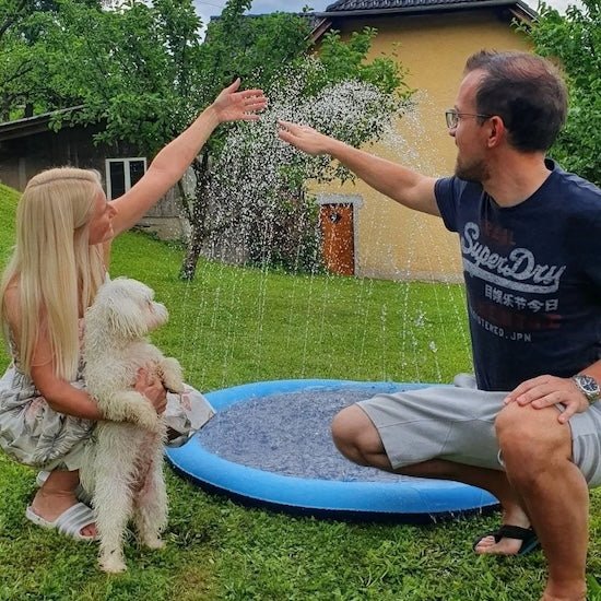 piscine-pour-chien-famille
