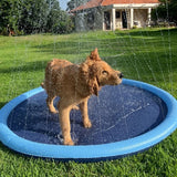 piscine-pour-chien-joue