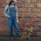 Laisse-pour-chien-enrouleur-facile-utiliser