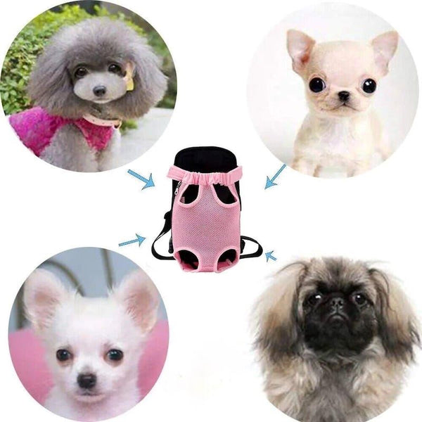 Sac-transport-chien-universelles