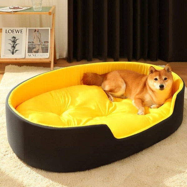 lit-pour-chein-confort-maximum
