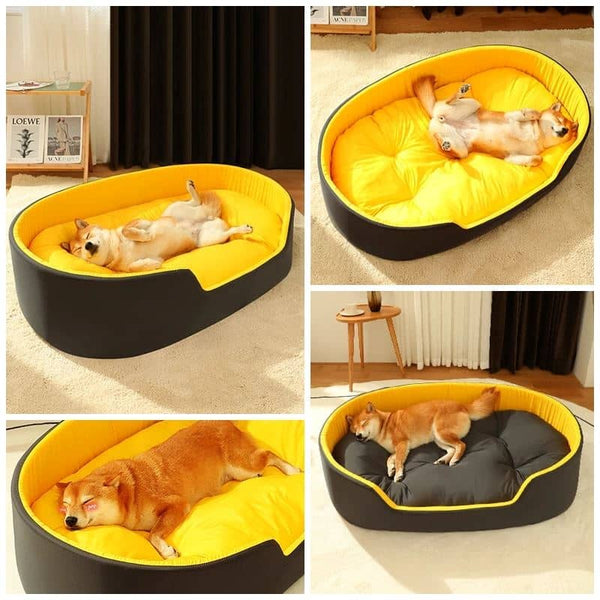 lit-pour-chien-confortable