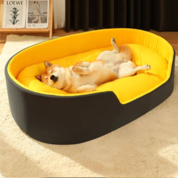 lit-pour-chien-sieste-reve