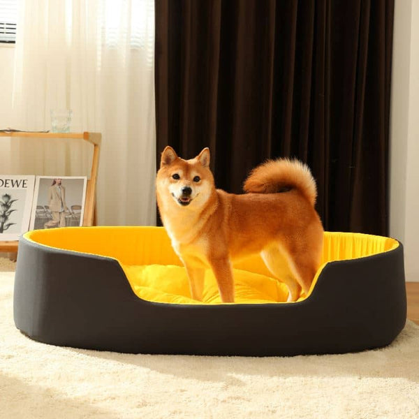 lit-pour-chien-super
